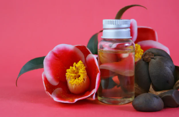 Discover the Skincare Benefits of Camellia Japonica Seed Oil Today